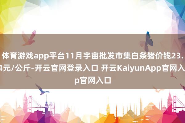 体育游戏app平台11月宇宙批发市集白条猪价钱23.94元/公斤-开云官网登录入口 开云KaiyunApp官网入口
